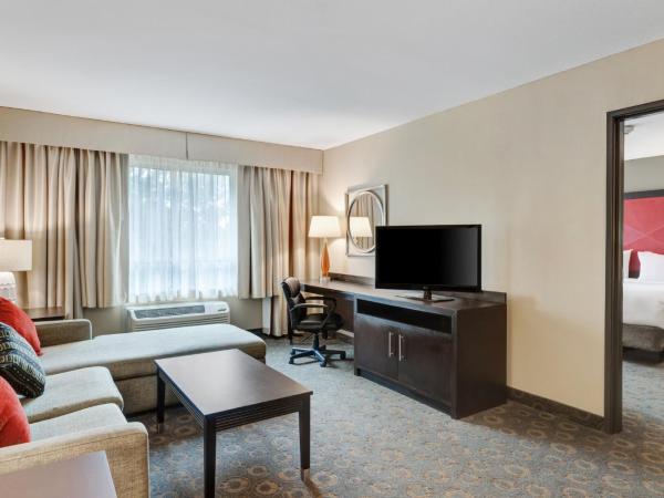 Crowne Plaza Houston Galleria Area, an IHG Hotel : photo 10 de la chambre suite 1 chambre lit king-size avec canapé-lit