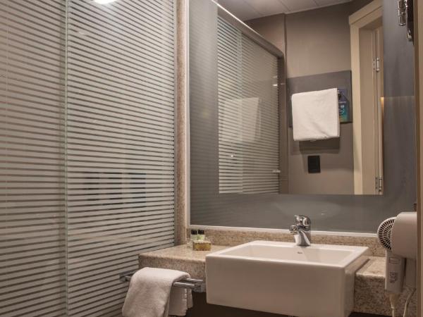 Novotel Sao Paulo Morumbi : photo 8 de la chambre appartement familial