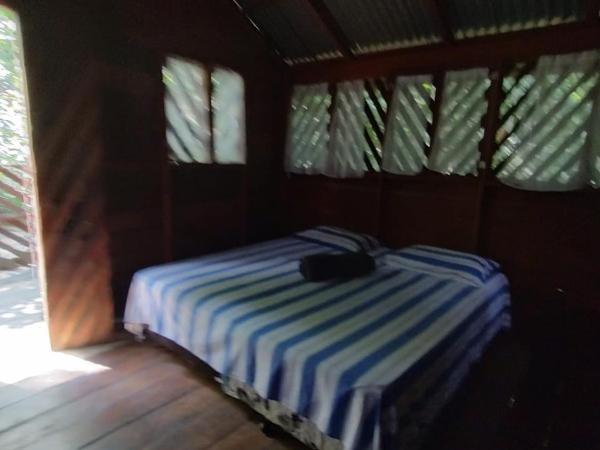 Refúgio Samauma : photo 5 de la chambre chalet