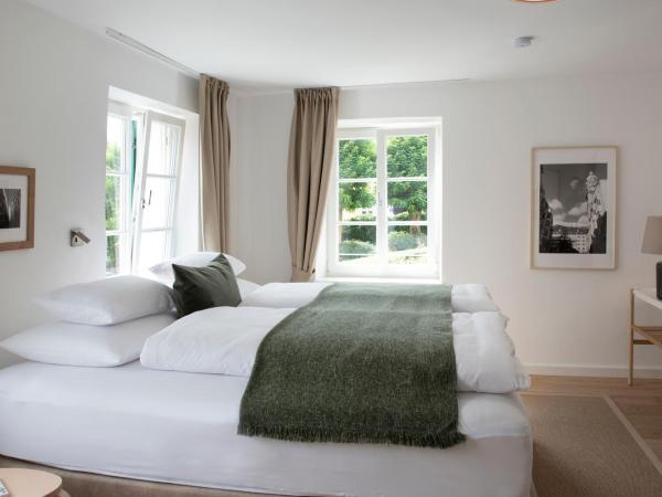 Quartier 99 : photo 2 de la chambre appartement avec vue sur la montagne