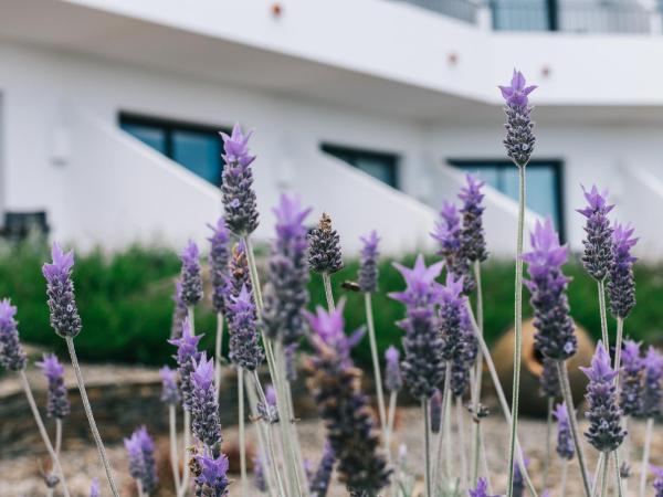 Hotel Sol Ixent : photo 4 de la chambre chambre double - vue sur jardin