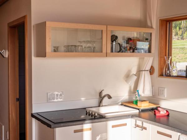 Myra Canyon Lodge : photo 4 de la chambre suite standard