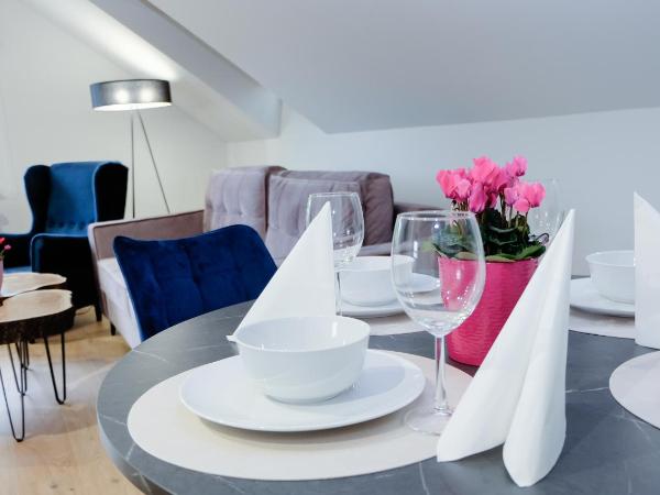 Hotel Rezydencja AS & Spa-Najwyżej w Karpaczu : photo 3 de la chambre appartement