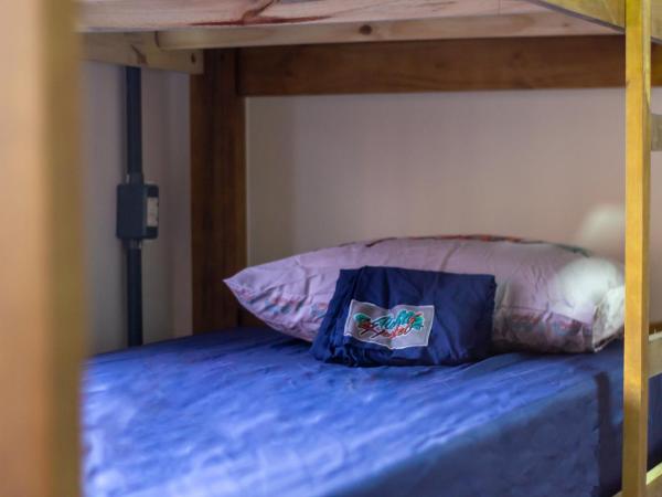 Aloha Hostel Pinhões : photo 5 de la chambre lit superposé dans dortoir pour femmes 
