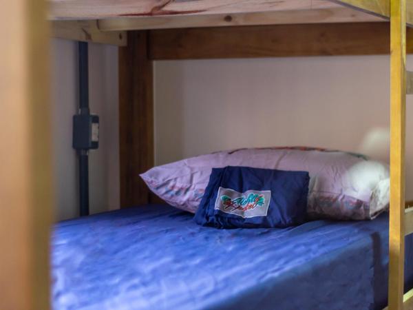 Aloha Hostel Pinhões : photo 5 de la chambre lit superposé dans dortoir pour femmes