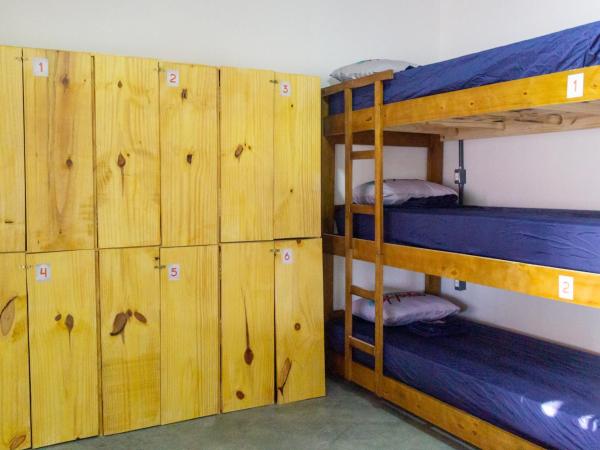 Aloha Hostel Pinhões : photo 6 de la chambre lit simple dans dortoir pour hommes