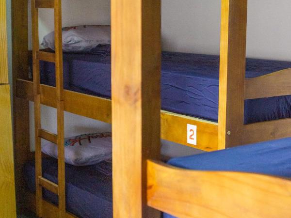 Aloha Hostel Pinhões : photo 8 de la chambre lit simple dans dortoir pour hommes