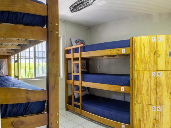 Aloha Hostel Pinhões : photo 3 de la chambre lit superposé dans dortoir mixte