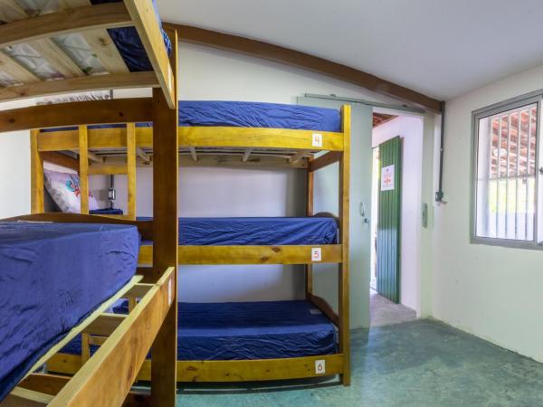 Aloha Hostel Pinhões : photo 3 de la chambre lit simple dans dortoir pour hommes