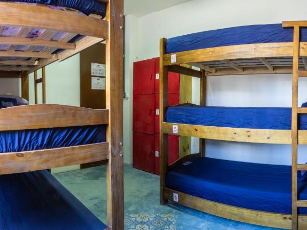 Aloha Hostel Pinhões : photo 3 de la chambre lit superposé dans dortoir pour femmes