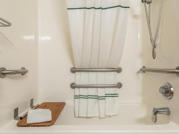 HomeTowne Studios by Red Roof San Antonio - SeaWorld Northwest : photo 8 de la chambre studio lit king-size deluxe pour personnes à mobilité réduite avec douche accessible en fauteuil roulant - non-fumeurs