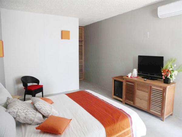 La Tonnelle Guest House : photo 4 de la chambre chambre supérieure