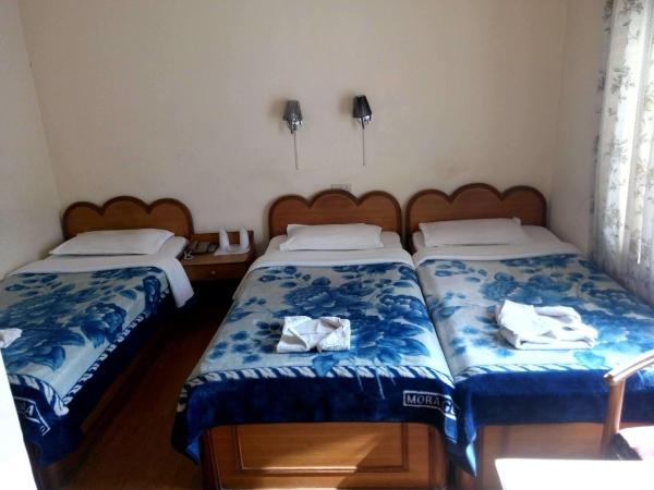 Green Tara Hotel : photo 4 de la chambre chambre triple basique