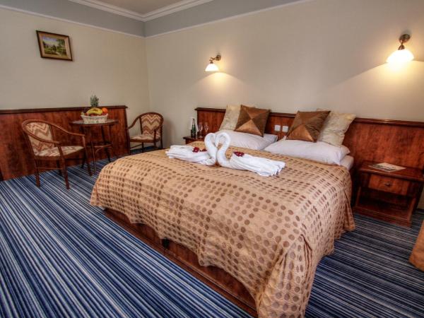 Spa & Wellness Hotel Harmonie : photo 5 de la chambre chambre lit king-size