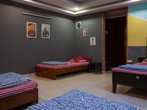 AmigosIndia : photo 2 de la chambre lit superposé dans dortoir mixte