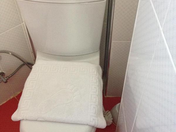 Hotel Oz Villa : photo 6 de la chambre grande chambre simple