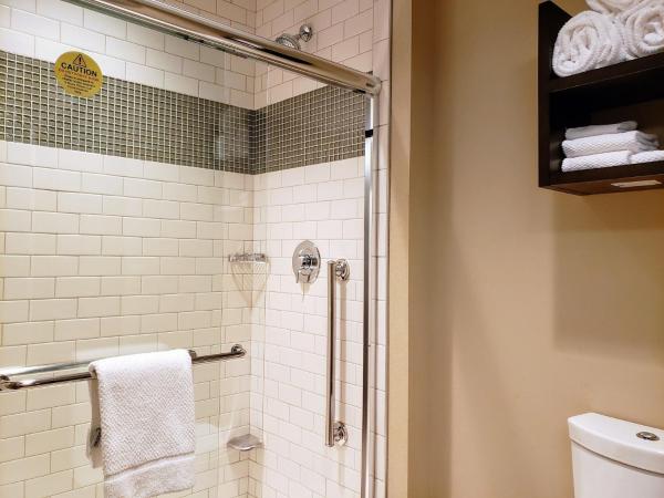 Staybridge Suites Baltimore - Inner Harbor, an IHG Hotel : photo 9 de la chambre suite studio lit king-size