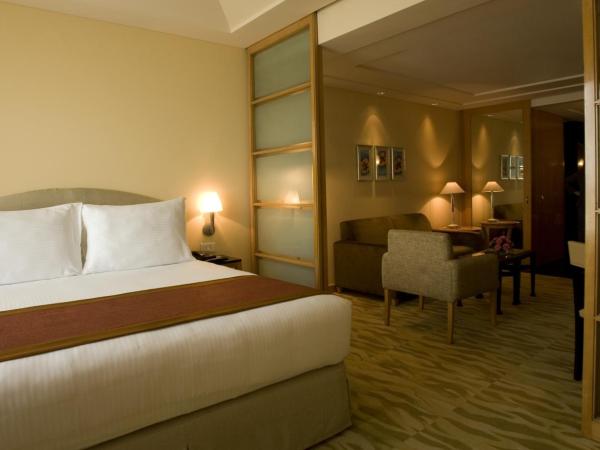 The Grand New Delhi : photo 5 de la chambre business suite, 15% discount on food & non-alcoholic beverages, 20% discount on spa & laundry, grand club access, butler service upon request