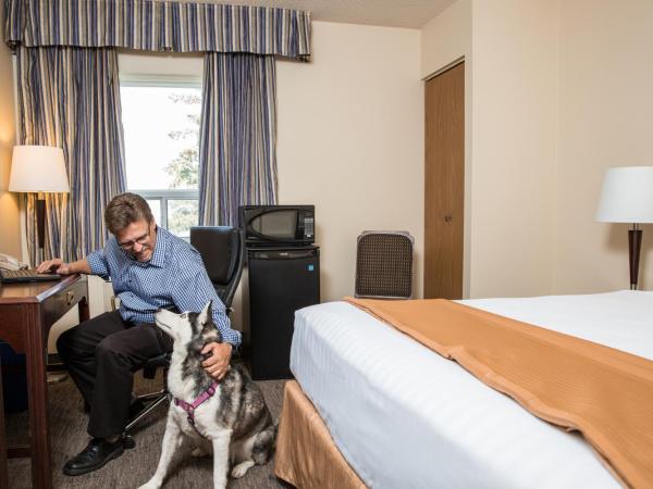 Travelodge by Wyndham Edmonton South : photo 5 de la chambre chambre lit queen-size - non-fumeurs - animaux acceptés