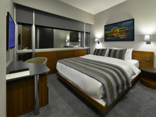 Modus Hotel Istanbul : photo 3 de la chambre chambre double ou lits jumeaux avec terrasse