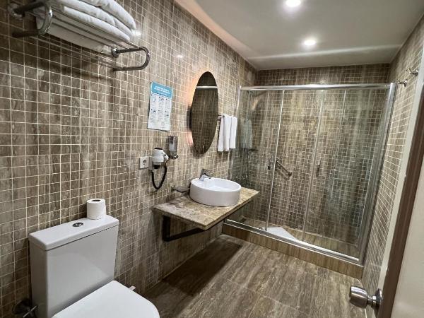 All Seasons Hotel : photo 1 de la chambre chambre familiale