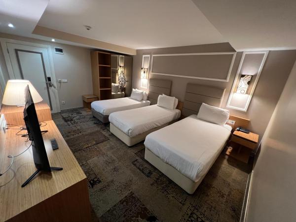 All Seasons Hotel : photo 3 de la chambre appartement 2 chambres