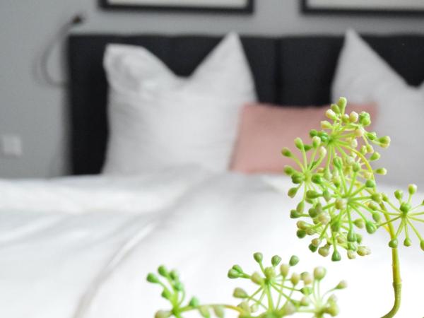 OLÉ Hotel : photo 3 de la chambre chambre lit queen-size