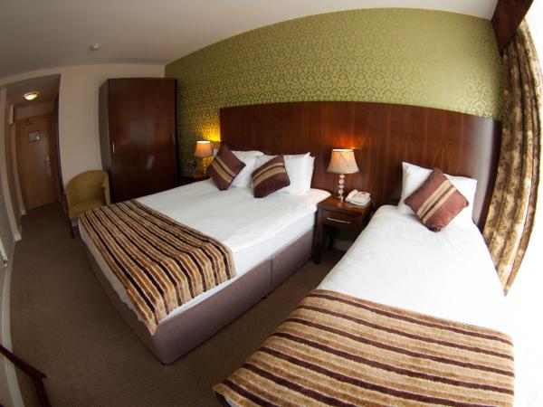 George Limerick Hotel : photo 8 de la chambre chambre triple