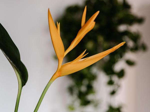 Hotel San Martin La Punta : photo 4 de la chambre chambre double standard