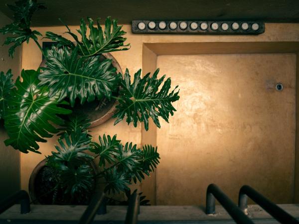 Hotel Los Amantes : photo 3 de la chambre suite supérieure