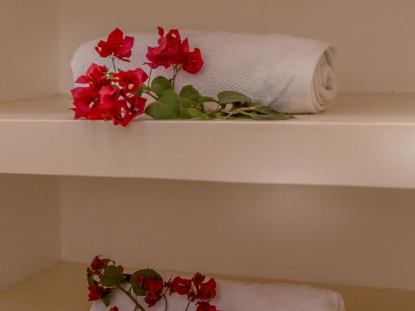 Azcapri Villa Boutique & Spa : photo 3 de la chambre villa