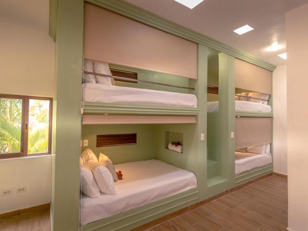 Azcapri Villa Boutique & Spa : photo 1 de la chambre villa