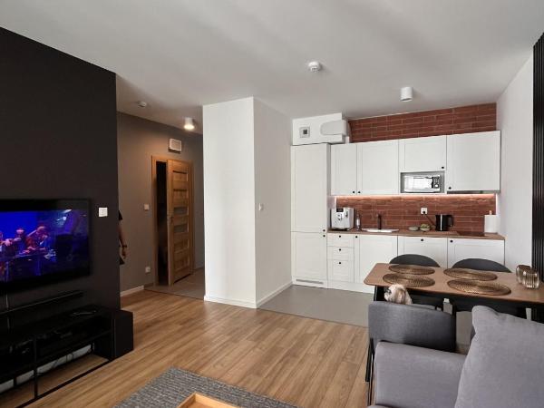 Apartamenty BRUNO i BIANCA w Symphony Modern Tower Gdynia 2 i 3 piętro : photo 10 de la chambre appartement supérieur