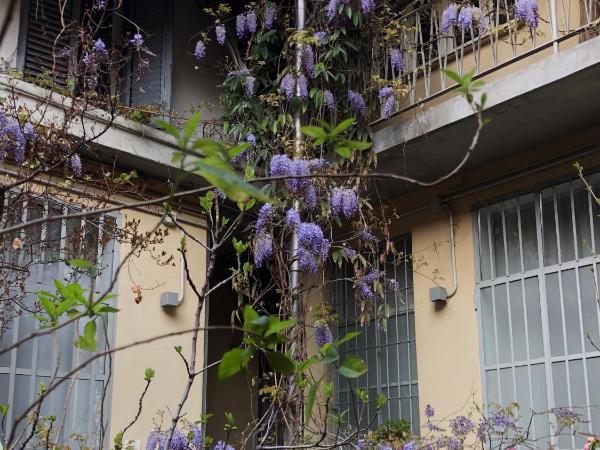 Isola Libera : photo 8 de la chambre appartement 1 chambre