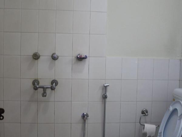 Om Tara Guest House Pvt Ltd : photo 9 de la chambre chambre double avec salle de bains privative