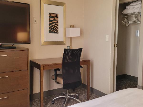 Staybridge Suites - Calgary Airport, an IHG Hotel : photo 1 de la chambre suite lit queen-size 1 chambre