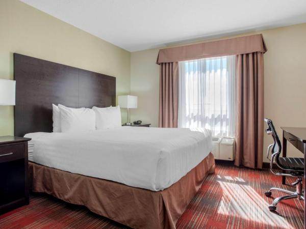 Best Western Plus Red Deer Inn & Suite : photo 1 de la chambre chambre lit king-size avec canapé-lit