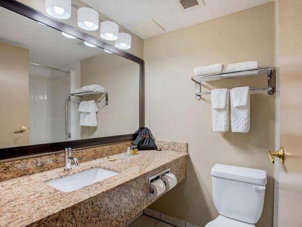 Best Western Plus Red Deer Inn & Suite : photo 4 de la chambre chambre lit king-size avec canapé-lit