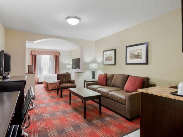 Best Western Plus Red Deer Inn & Suite : photo 7 de la chambre two-bedroom suite with one king beds, two single beds and sofa bed