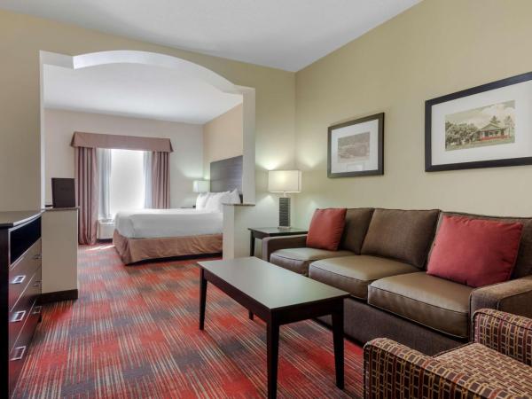 Best Western Plus Red Deer Inn & Suite : photo 1 de la chambre chambre king avec cuisine