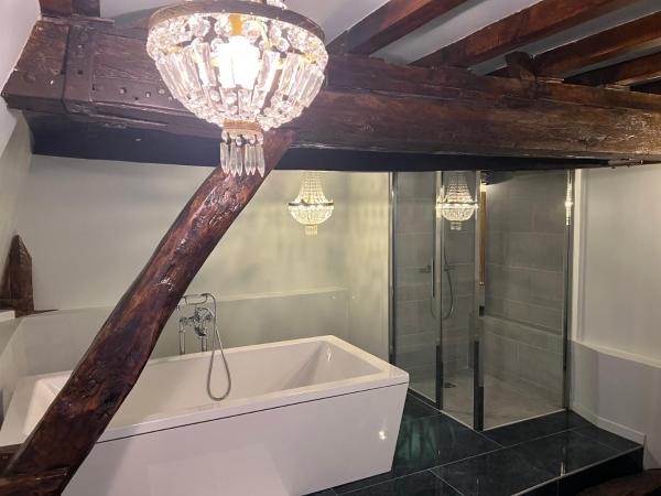 24H LE MANS Château de Lauresse chambres d'hôtes Luxe : photo 10 de la chambre chambre double avec salle de bains privative