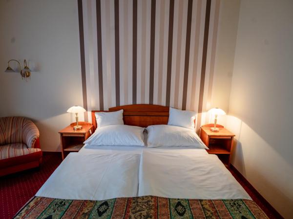Hotel Erzsébet : photo 6 de la chambre chambre standard lit queen-size