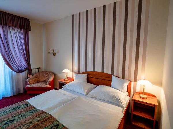 Hotel Erzsébet : photo 1 de la chambre chambre standard lit queen-size
