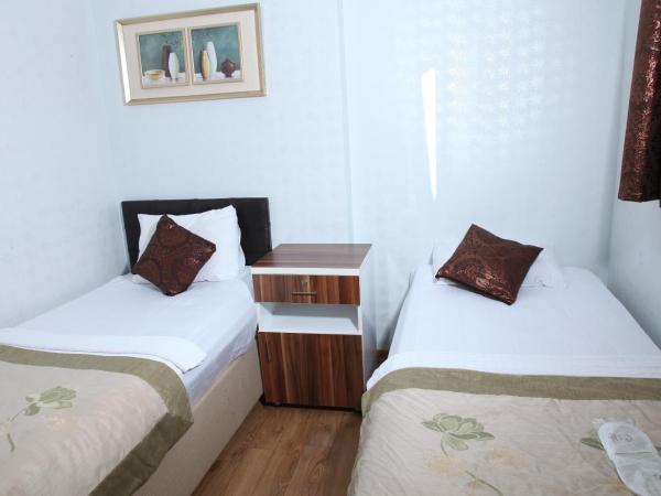 GARDEN HILL HOTEL : photo 2 de la chambre chambre double ou lits jumeaux deluxe - vue sur ville