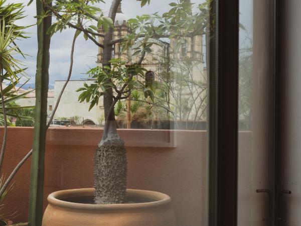 Hotel Los Amantes : photo 4 de la chambre chambre lit king-size avec balcon