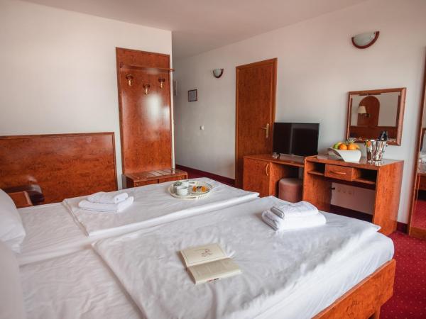 Rooms with a swimming pool Crikvenica - 18502 : photo 1 de la chambre chambre triple avec balcon