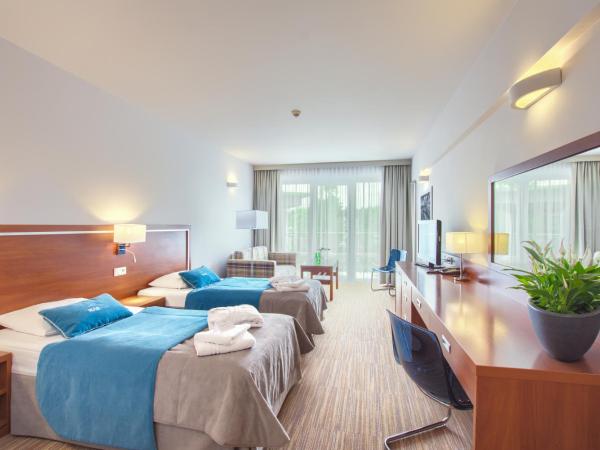 Ikar Plaza : photo 1 de la chambre chambre lits jumeaux