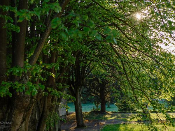 Espace Bernadette Soubirous Nevers : photo 5 de la chambre chambre triple avec salle de bains commune