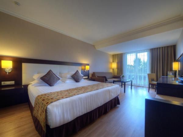 Eresin Hotels Topkapı : photo 1 de la chambre chambre double deluxe