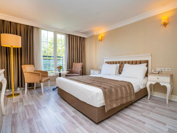 Topkapi Old City Kensington Hotel ISTANBUL : photo 2 de la chambre chambre double ou lits jumeaux standard